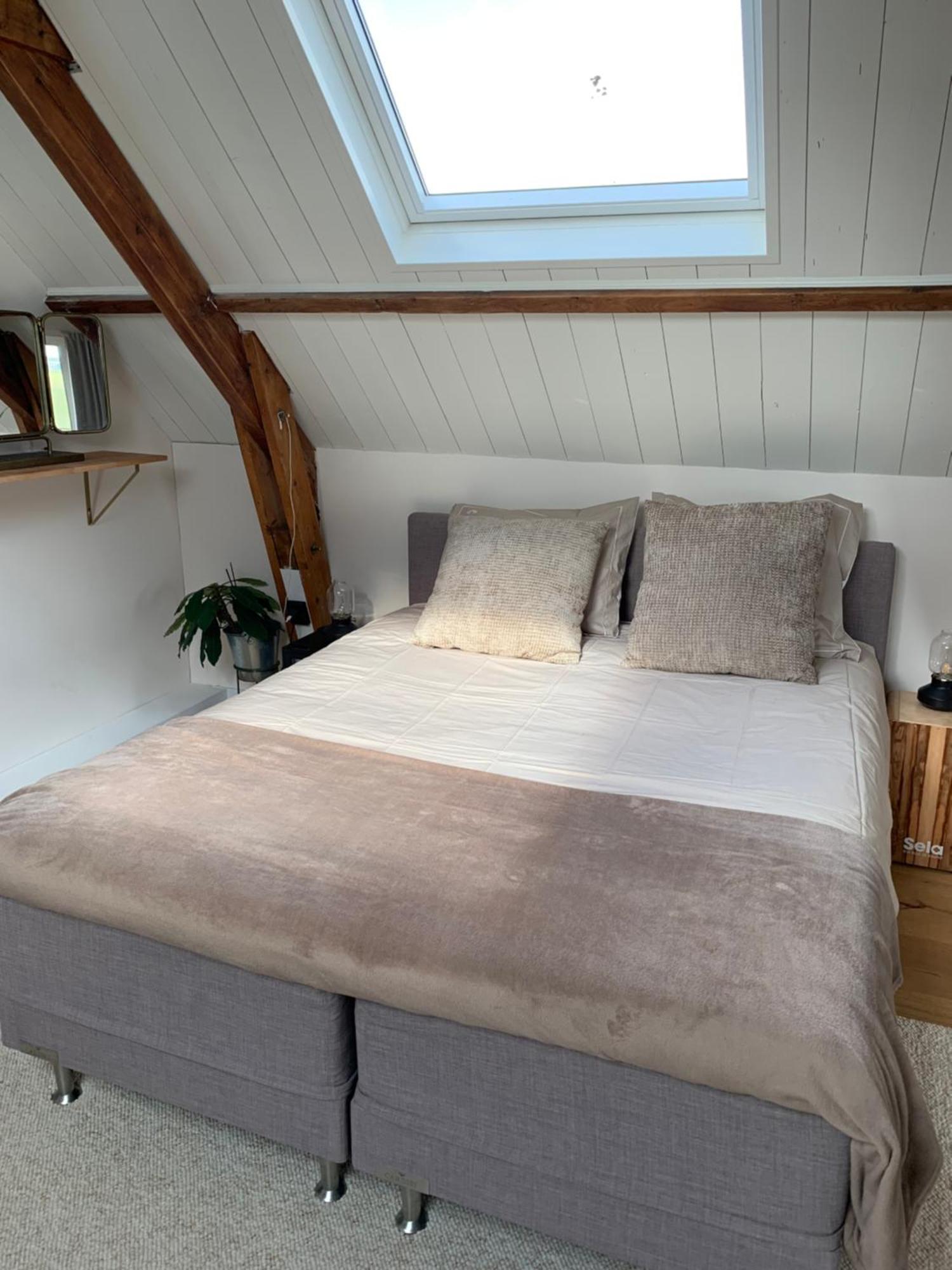 B&B De Vrijbuiter De Cocksdorp  Bagian luar foto